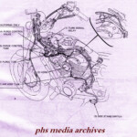 1987 Honda Shadow Ignition Wiring Wiring Diagram Schema