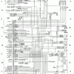 1992 Honda Accord Stereo Wiring Diagram Pics Wiring Collection