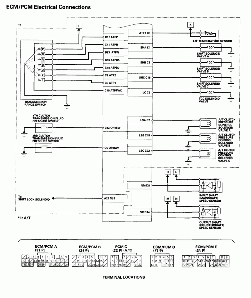 1995 Honda Accord Stereo Wiring Diagram Pictures Wiring Collection