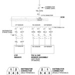 1996 Honda Accord Ignition Switch Wiring Diagram Wiring Diagram