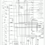 1996 Honda Civic Radio Wiring Diagram How Small Can Words Be Tattooed