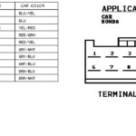 1998 Honda Civic Radio Wiring Diagram Database Wiring Diagram Sample