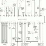 1998 Honda Crv Wiring Diagram Pics Wiring Diagram Sample