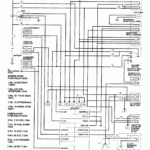 2004 Honda Accord Stereo Wiring Diagram Database Wiring Collection