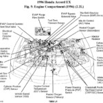 2006 Honda Accord Radio Wiring Diagram Pictures Wiring Collection