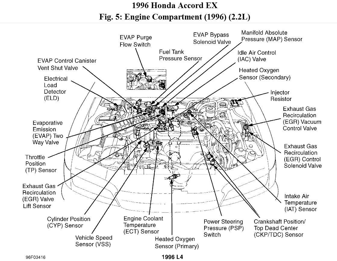 2006 Honda Accord Radio Wiring Diagram Pictures Wiring Collection