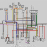 400Ex Starter Wiring Diagram Cleaver Wiring Diagram 2004 Honda 400Ex