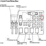 51 1997 Honda Civic Radio Wiring Diagram Wiring Diagram Plan