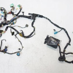 Amazon 1997 1996 Honda Civic Headlight Wire Harness Wires Wiring