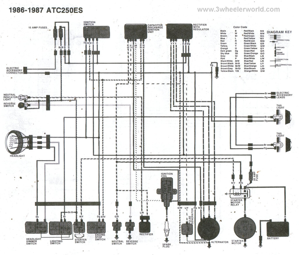 Honda 300 Fourtrax Ignition Wiring Diagram Free Wiring Diagram