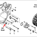 Honda Wiring Honda Shadow Vt1100 Wiring Diagram And Electrical System