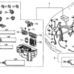 Wire Harness 2018 Honda Ridgeline 4 Door RTL AWD KA 6AT