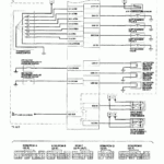 1995 Honda Accord Stereo Wiring Diagram Pictures Wiring Collection