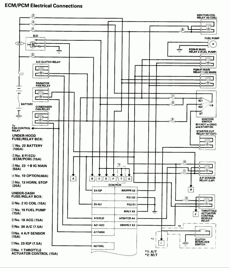 2004 Honda Accord Stereo Wiring Diagram Database Wiring Collection