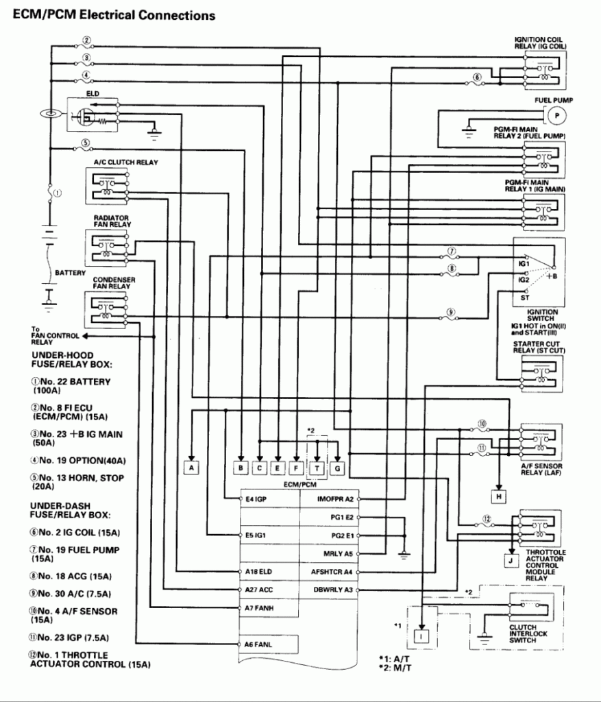 99 Civic Stereo Wiring Diagram