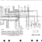 Honda 300 Fourtrax Ignition Wiring Diagram Free Wiring Diagram